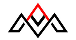 AVM logo